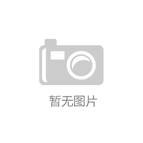 公司-中宏网
